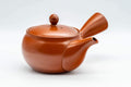 Tezumi — Japanese Kyusu - Classic Tokoname-yaki Teapot - 325ml — three-quarter view