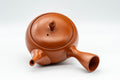 Tezumi — Japanese Kyusu - Plum Blossom Tokoname-yaki Teapot - 350ml — top-down view of the lid