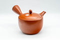 Japanese Kyusu - Large Tokoname-yaki Side-handled Teapot - 500ml - Tezumi