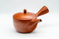 Japanese Kyusu - Large Tokoname-yaki Side-handled Teapot - 500ml - Tezumi