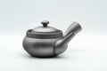 Tezumi — Japanese Kyusu - Classic Banko-yaki Teapot - 220ml — three-quarter view from the opposite side