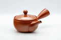 Japanese Kyusu - Tokoname-yaki 270 Degree Filter Teapot - 300ml - Tezumi