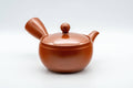 Japanese Kyusu - Tokoname-yaki 270 Degree Filter Teapot - 300ml - Tezumi