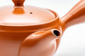 Japanese Kyusu - Tokoname-yaki 270 Degree Filter Teapot - 300ml - Tezumi