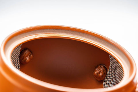 Japanese Kyusu - Tokoname-yaki 270 Degree Filter Teapot - 300ml - Tezumi