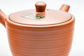 Tezumi — Japanese Kyusu - Classic Tokoname-yaki Ribbed Teapot with Fine Mesh Strainer - 200ml — closeup of the decoration