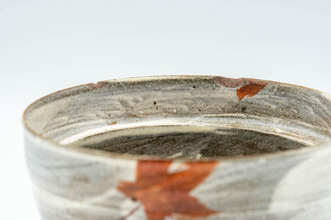 Japanese Shiboridashi - Hakeme Momiji Teapot - 150ml - Tezumi