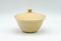 Japanese Shiboridashi - 朝日焼 Asahi-yaki Beige Porcelain Teapot - 100ml - Tezumi