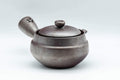Japanese Kyusu - Sleek Banko-yaki Ceramic Filter Teapot - 200ml - Tezumi