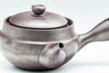 Japanese Kyusu - Sleek Banko-yaki Ceramic Filter Teapot - 200ml - Tezumi