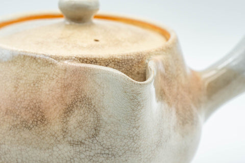 Japanese Kyusu - 天鵬山 Tsubaki Kiln Hagi-yaki Do-ake Teapot - 290ml