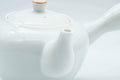 Japanese Kyusu - Persimmon Porcelain Arita-yaki Debeso Teapot  - 300ml - Tezumi