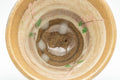 Tezumi — Japanese Teacups - Pair of Floral Beige Hakeme Yunomi - 80ml — tipped to show the interior