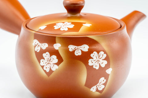 Japanese Kyusu - 常滑焼 Tokoname-yaki Basket Strainer Teapot - 300ml