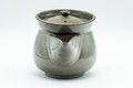 Japanese Tea Set - Otani-yaki Do-ake Houhin Teapot and Yunomi Teacup - 250ml - front view showing the open triangular spout