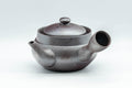 Japanese Kyusu - 萬古焼 Classic Banko-yaki Teapot - 300ml - Tezumi