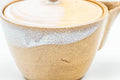 Tezumi — Japanese Kyusu - Houhin-style Hagi-yaki Do-ake Teapot - 320ml — closeup of the decoration