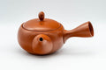 Tezumi — Japanese Kyusu - Plum Blossom Tokoname-yaki Teapot - 350ml — three-quarter view from the opposite side