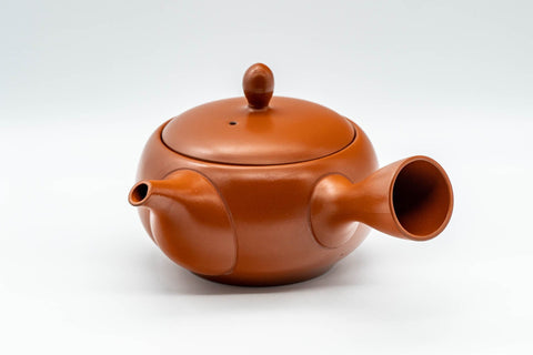Tezumi — Japanese Kyusu - Plum Blossom Tokoname-yaki Teapot - 350ml — side view showing the spout