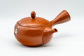 Tezumi — Japanese Kyusu - Plum Blossom Tokoname-yaki Teapot - 350ml — side view with the lid and side handle