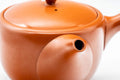 Japanese Kyusu - Large Tokoname-yaki Side-handled Teapot - 500ml - Tezumi