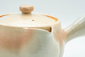 Japanese Tea Set - Tsubaki Kiln Hagi-yaki Kyusu Teapot with 6 Yunomi Teacups - side profile of the teapot