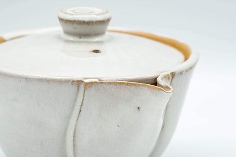 Tezumi — Japanese Tea Set - 赤膚山 Akiyama Kiln - Houhin Teapot and Katakuchi Water Cooler — the teapot and cups arranged together