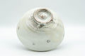 Tezumi — Japanese Matcha Bowl - Sugi-nari Chrysanthemums White Chawan- 400ml — top-down view of the interior
