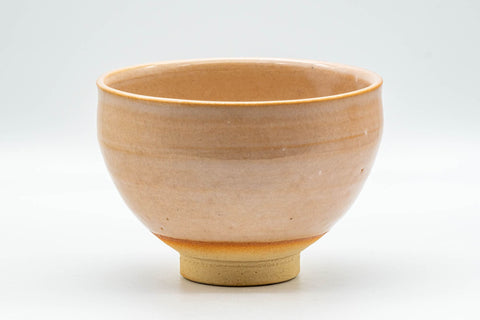 Japanese Matcha Bowl - Dragonflies Wan-nari Chawan - 350ml - front view from a slightly raised angle