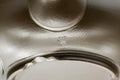 Tezumi — Japanese Kyusu - Takeharu Kiln 竹春窯 Camellia Teapot - 275ml — additional view