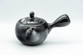 Japanese Kyusu - 金閣寺 Kinkakuji and Cherry Blossom Black Kurodei Teapot - 350ml - Tezumi