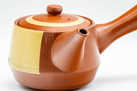 Tezumi — Japanese Tea Set - Mountainous Tokoname-yaki Debeso Kyusu with 3 Yunomi Teacups — closeup of a single piece