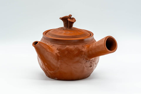 Japanese Kyusu - 不老 Itou Furo - Plum Blossoms Tokoname-yaki Do-ake Teapot - 250ml - three-quarter view showing the lid and side handle