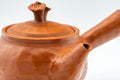 Japanese Kyusu - 不老 Itou Furo - Plum Blossoms Tokoname-yaki Do-ake Teapot - 250ml - closeup of the plum blossom decoration on the body