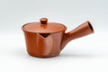 Tezumi — Japanese Kyusu - Small Houhin-style Tokoname-yaki Teapot - 175ml — side view with the lid and side handle