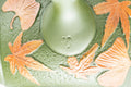 Tezumi — Japanese Kyusu - Ginko Maple Leaf Tokoname-yaki Teapot  - 260ml — additional view