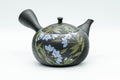 Japanese Kyusu - 玉光 Gyokko Floral Tokoname-yaki Sasame Teapot - 275ml - Tezumi