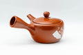 Japanese Kyusu - 常滑焼 Decorative Tokoname-yaki Teapot  - 230ml - Tezumi