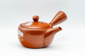 Japanese Kyusu - 常滑焼 Decorative Tokoname-yaki Teapot  - 230ml - Tezumi