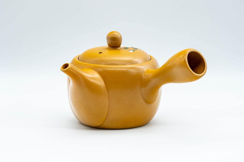 Japanese Kyusu - Decorative Plum Blossom Tokoname-yaki Teapot - 300ml - Tezumi