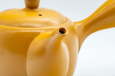 Japanese Kyusu - Decorative Plum Blossom Tokoname-yaki Teapot - 300ml - Tezumi