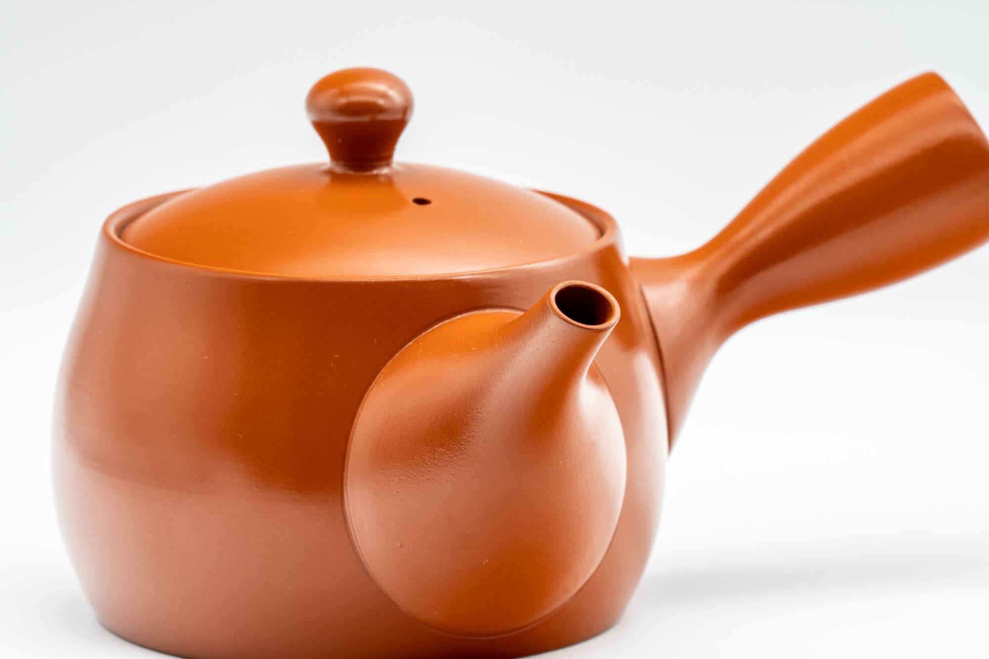 Japanese Kyusu - Iwata Kiln Tokoname-yaki Kyusu - 375ml - Tezumi