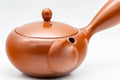 Japanese Kyusu - 高資窯 Takasuke Kiln - Sasame Filter Tokoname-yaki Teapot - 300ml - angled view showing the handle and spout