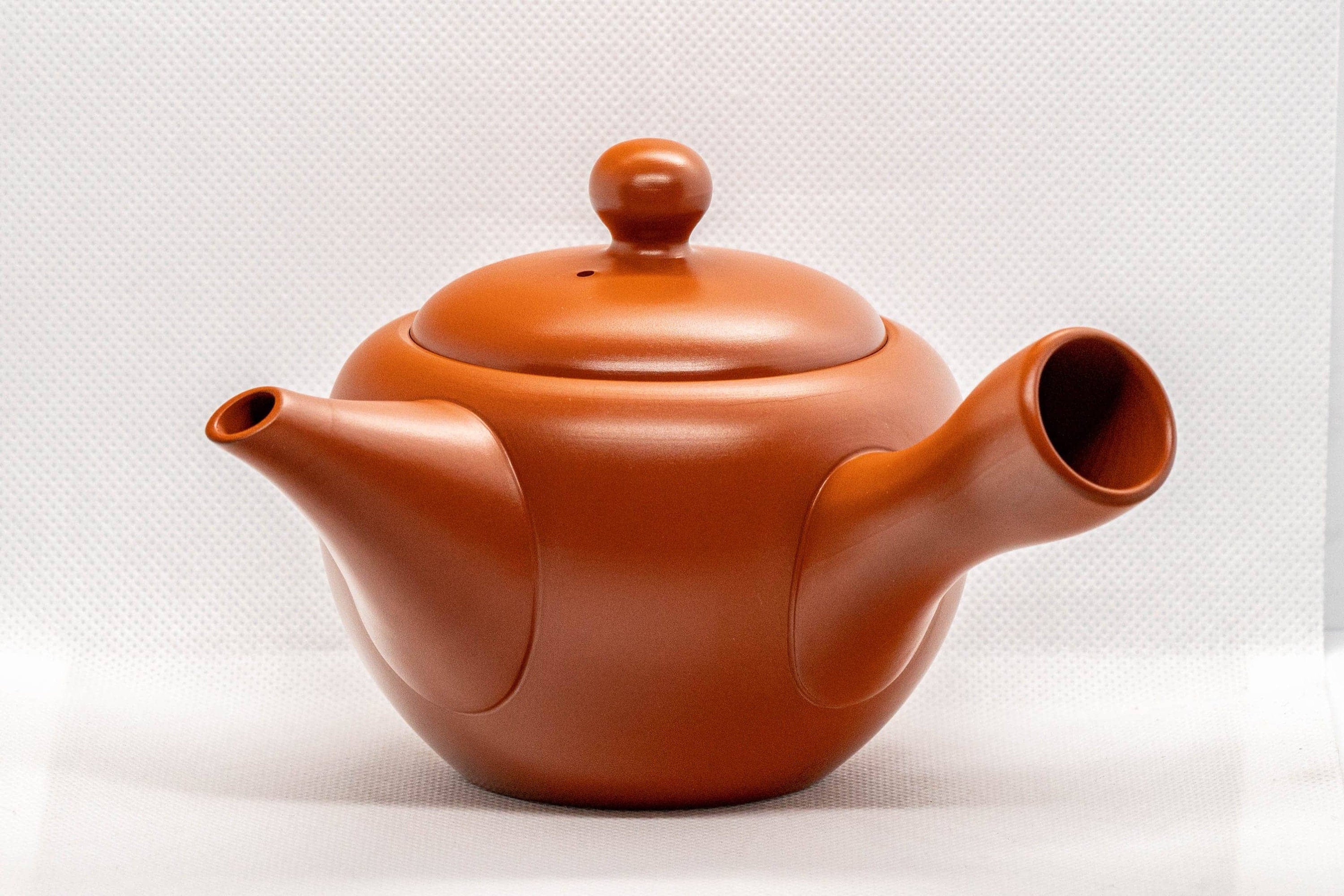 Japanese Kyusu - Kouyou 弘洋 Tokoname-yaki Teapot - 350ml - Tezumi