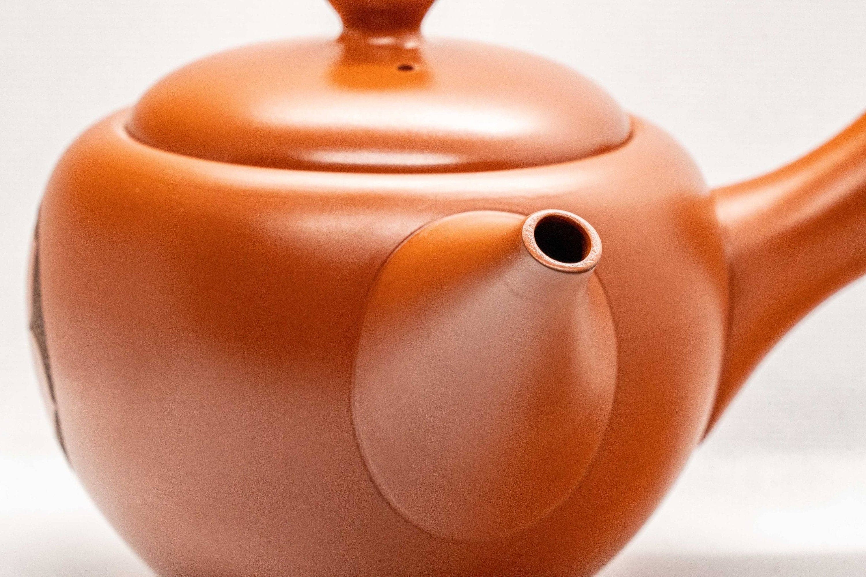 Japanese Kyusu - Kouyou 弘洋 Tokoname-yaki Teapot - 350ml - Tezumi