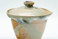 Japanese Shiboridashi - Hare's Fur Drip-Glazed Akogi-yaki Teapot - 90ml - Tezumi