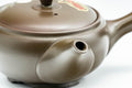 Tezumi — Japanese Kyusu - Takeharu Kiln 竹春窯 Camellia Teapot - 275ml — side profile showing the spout and handle