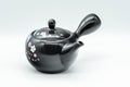 Japanese Kyusu - 金閣寺 Kinkakuji and Cherry Blossom Black Kurodei Teapot - 350ml - Tezumi