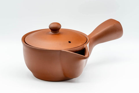 Tezumi — Japanese Kyusu - Large Houhin-style Tokoname-yaki Teapot - 425ml — side view with the lid and side handle
