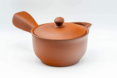 Tezumi — Japanese Kyusu - Large Houhin-style Tokoname-yaki Teapot - 425ml — three-quarter view from the opposite side